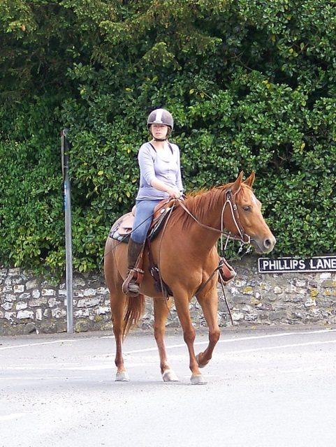 Horse and rider on a country lane — photo Maigheach-gheal / Geograph, CC BY-SA 2.0