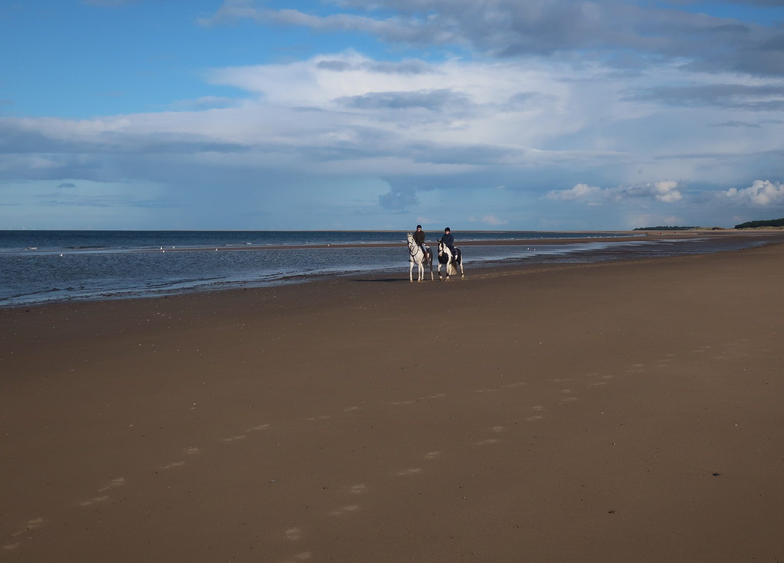 Horse riders on Holkham Beach — photo Hugh Venables / Geograph, CC BY-SA 2.0